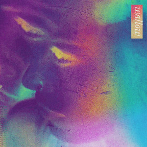 Animal Ghosts — Wallow