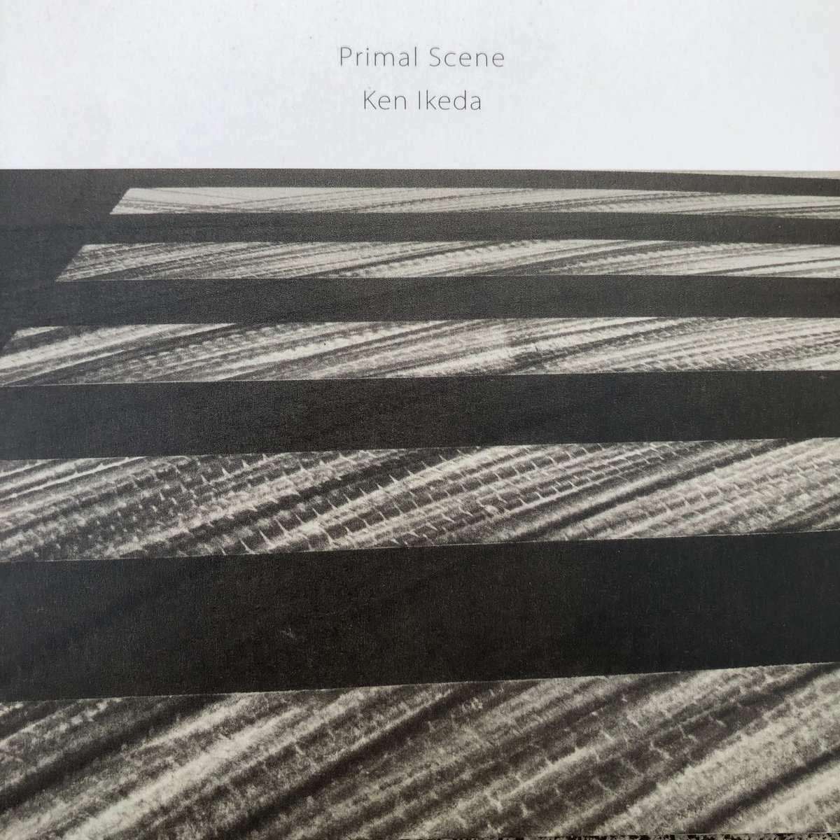 KEN IKEDA 『PRIMAL SCENE』　ケン・イケダ Primal Scene | Ken Ikeda