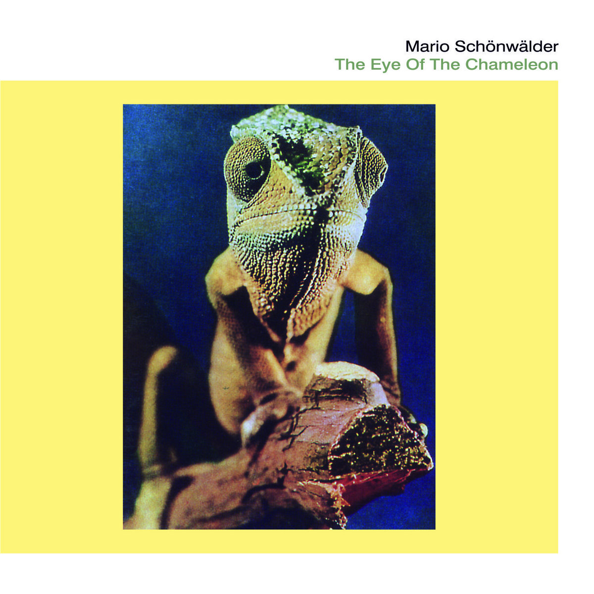 the eye of the chameleon  mario schönwälder  manikin records
