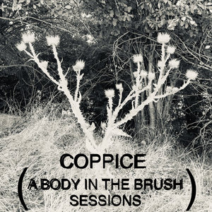 Plasticstatic — Coppice