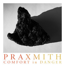 Comfort in Danger cover art