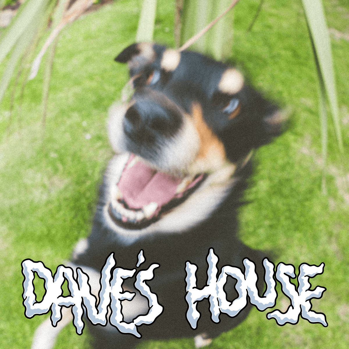 Dave's House | Voodoo Bandits