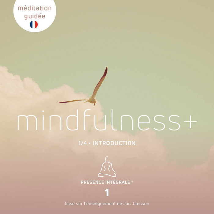 La Pleine Conscience+ 1/4 | Jan Janssen