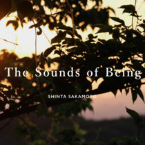 Sounds of Being cover art