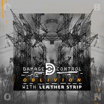 Damage Control with Leaether Strip — Oblivion