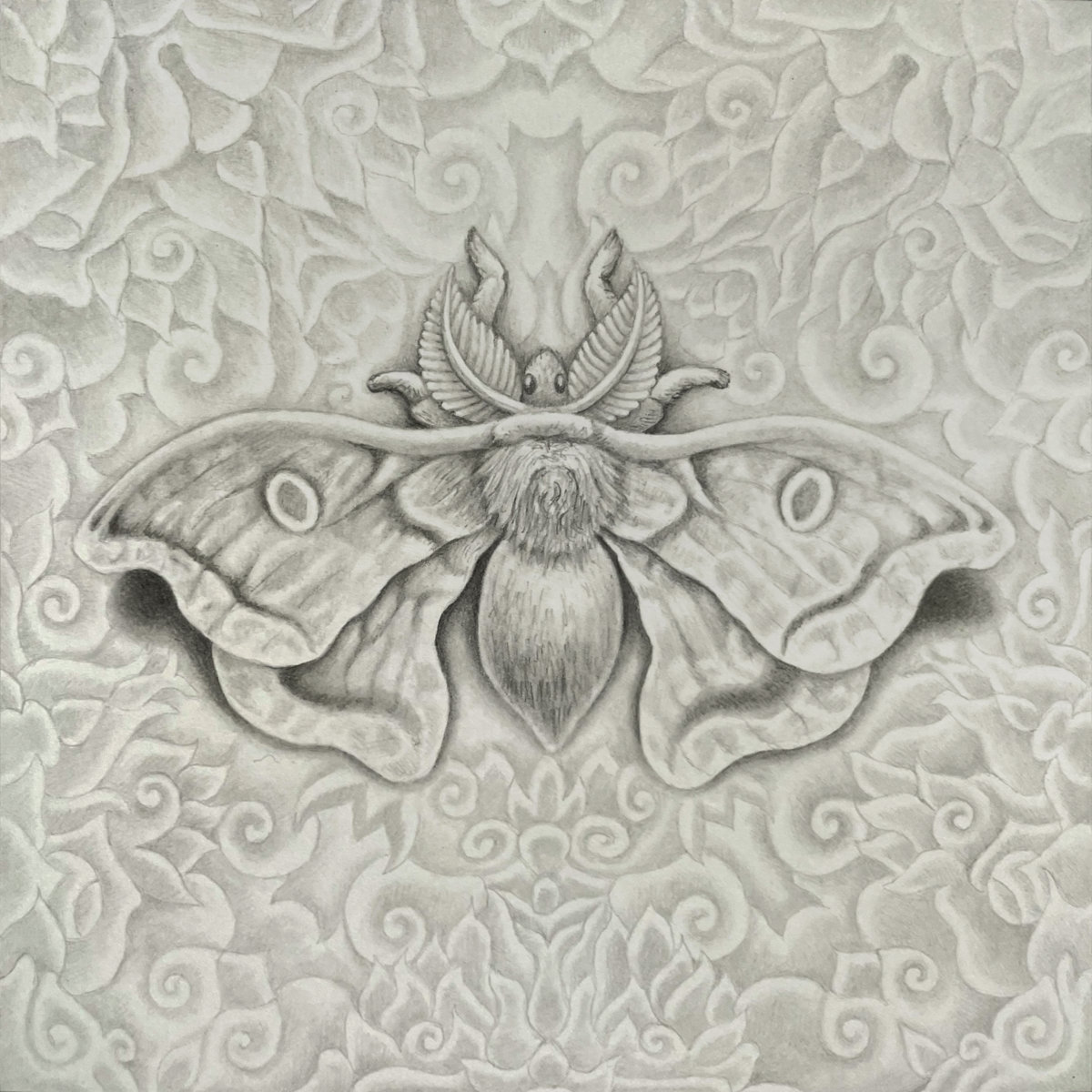 Moth Abstract Drawing Drawing Of A Moth | Drawing Of A Moth