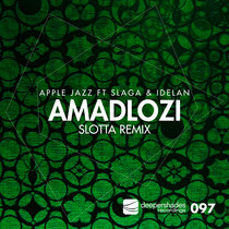 Amadlozi (Slotta Remix) cover art