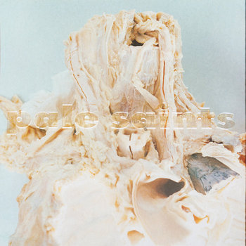 Music | Pale Saints