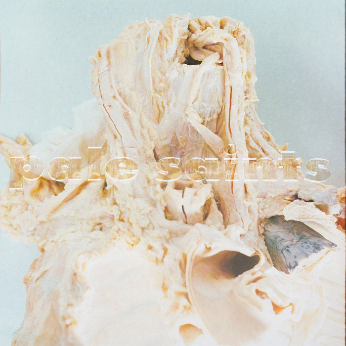 Pale Saints In Ribbons UKオリジナル a1365286668_5.jpg