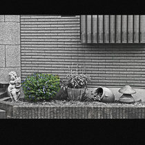 Night Life cover art