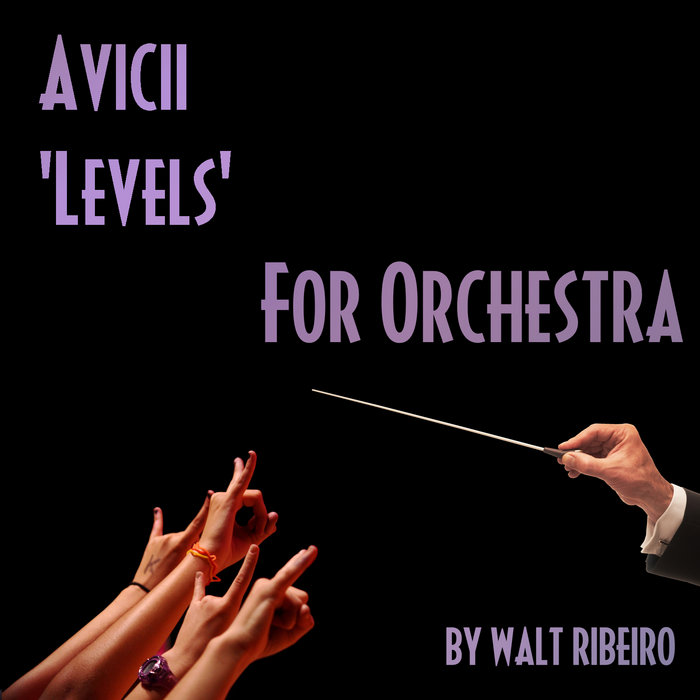 Avicii 'Levels' Walt Ribeiro