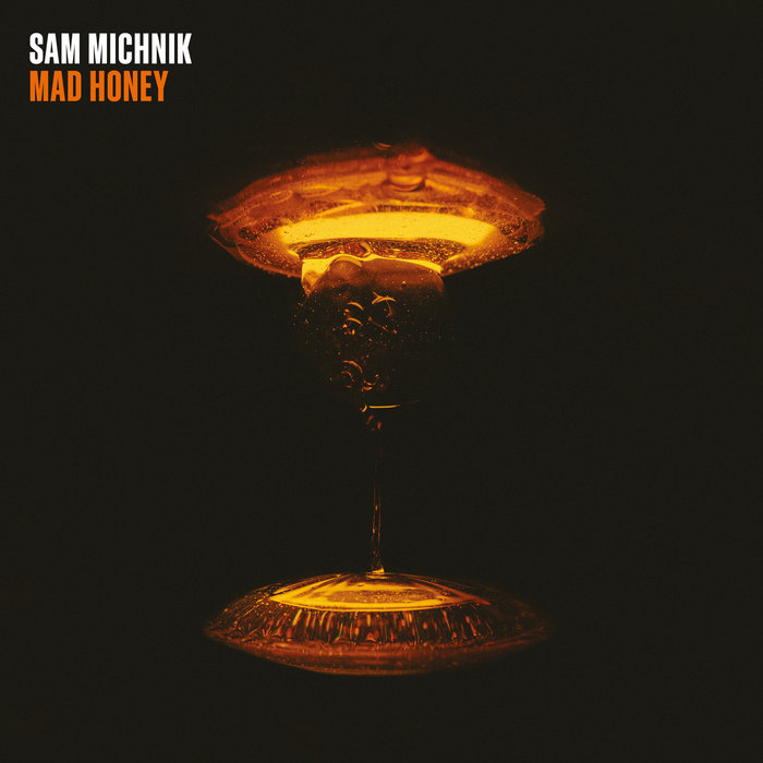 Pochette de Mad Honey par Sam Michnik