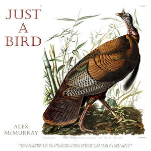 Just A Bird cover