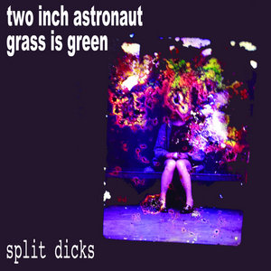 Split Dicks cover