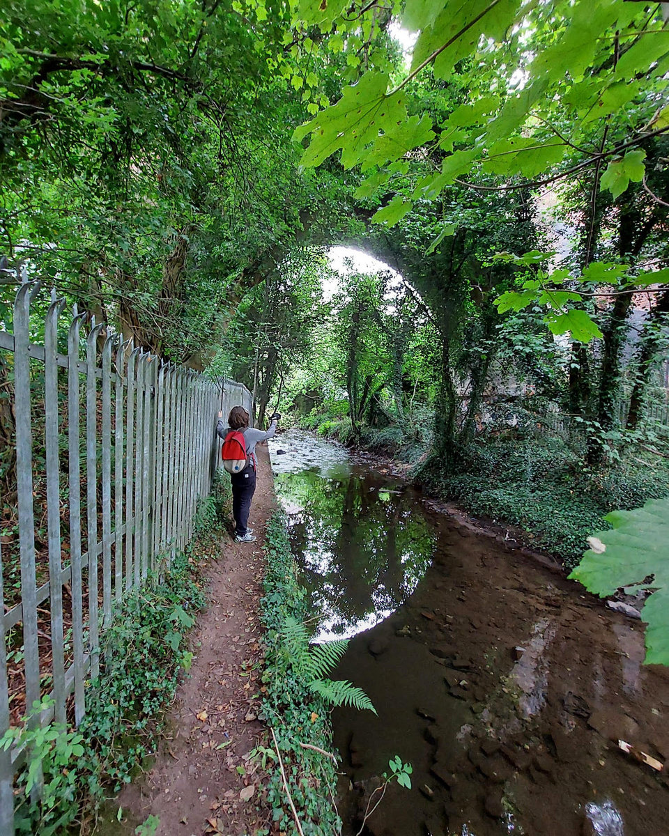 Hawkes End ---> River Sowe Junction (a sonic transect of the sometimes absent River Sherbourne)