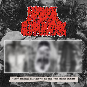 Music and merch tagged lymphatic phlegm on Bandcamp