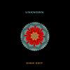 Unknown ( KiRiK edit )