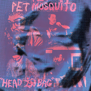 HEAD IN BAG cover