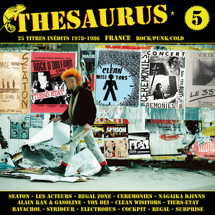 THESAURUS VOL.5 VARIOUS ARTISTS / CAME86 Cameleon records