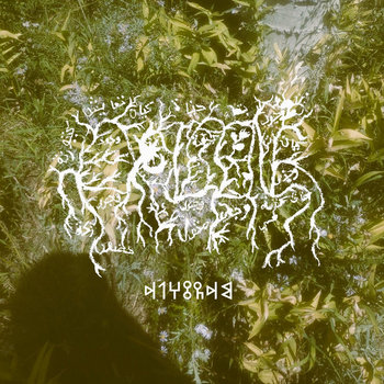 𐩵𐩡𐩠𐩻𐩼𐩵𐩣