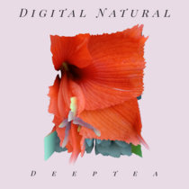 Digital Natural LP cover art