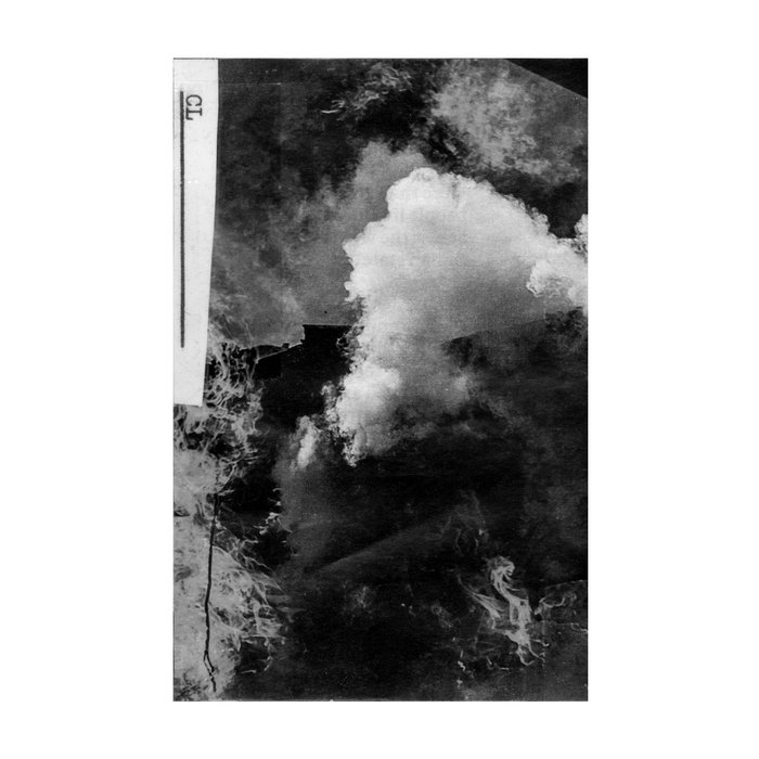 Pleasure Pier Cremation Lily