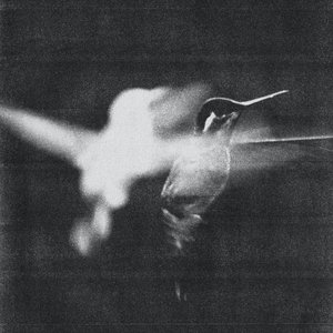 Wings of Desire — Interlude