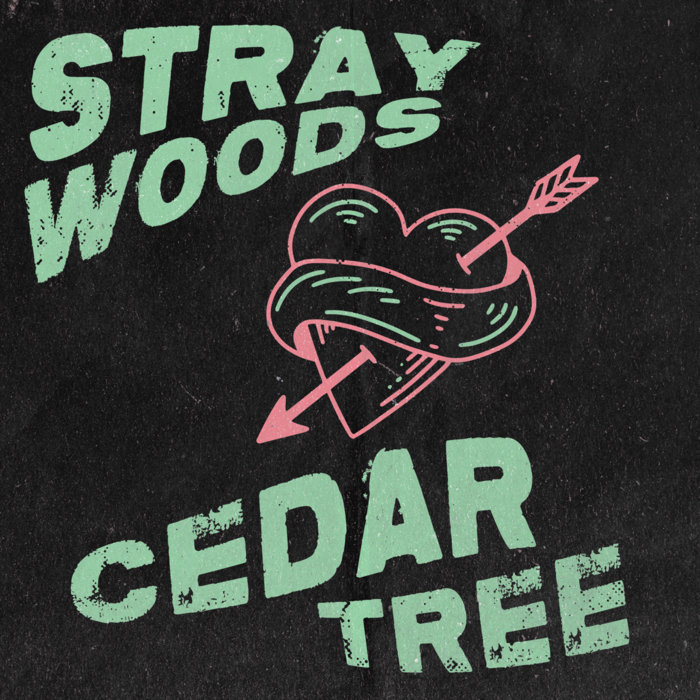 Cedar Tree | Stray Woods