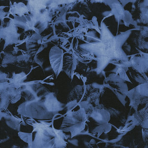 Faetooth — Hole