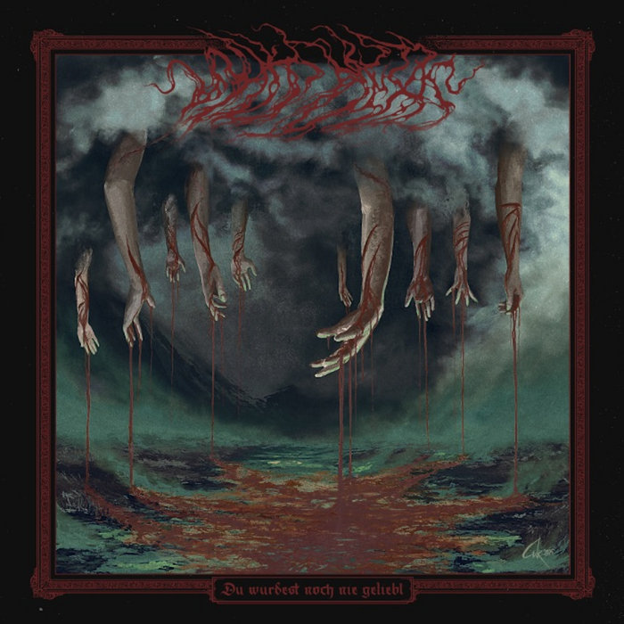 Pochette de Du wurdest noch nie geliebt par Shit Hexis