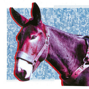Protomartyr — Ultimate Success Today