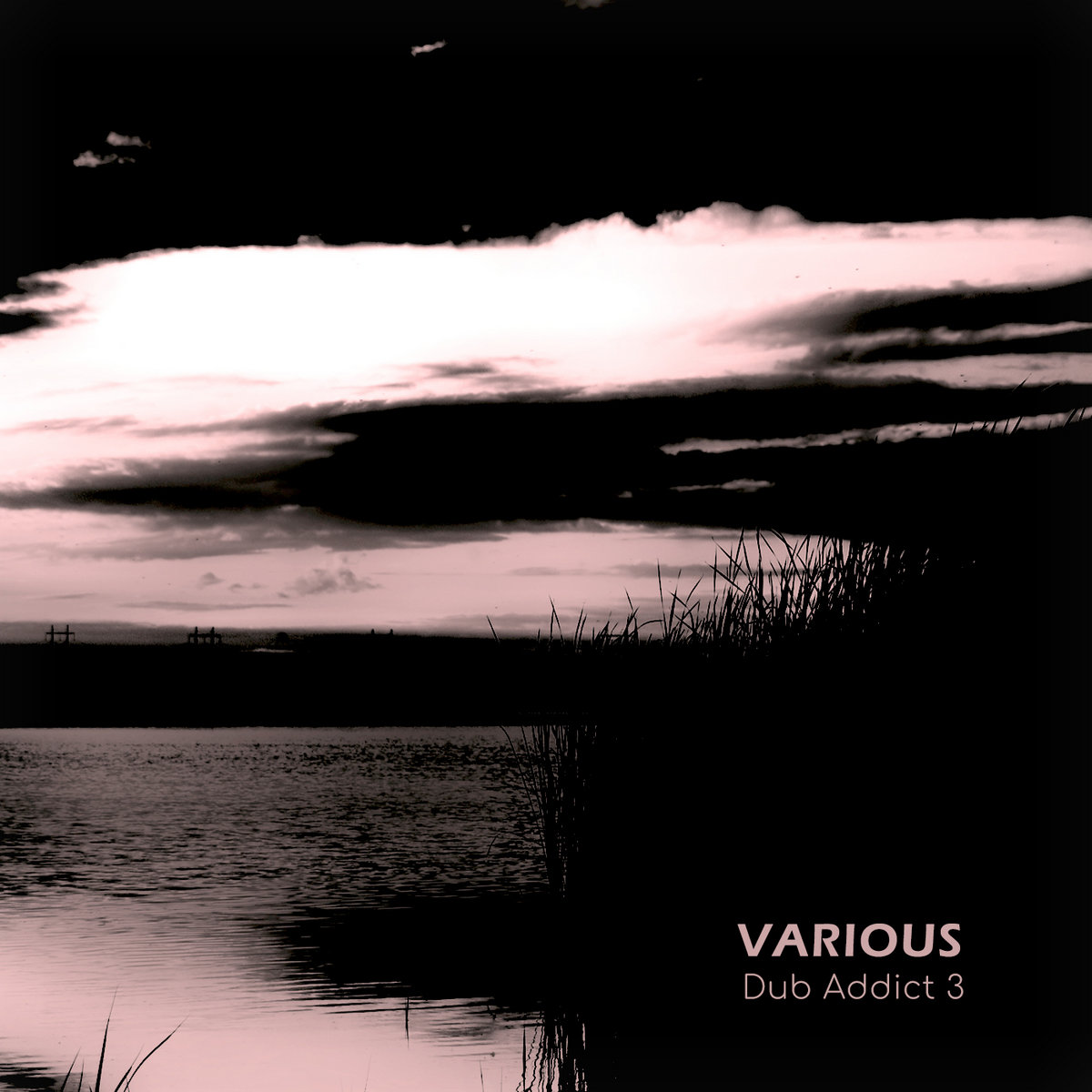 SV-67] Various - Dub Addict Vol.3 | Space Of Variants