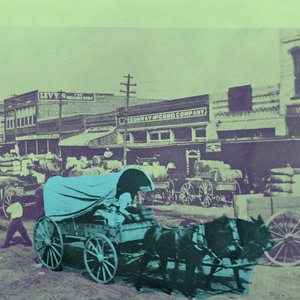 Golden Shoals — Terrell Texas Blues