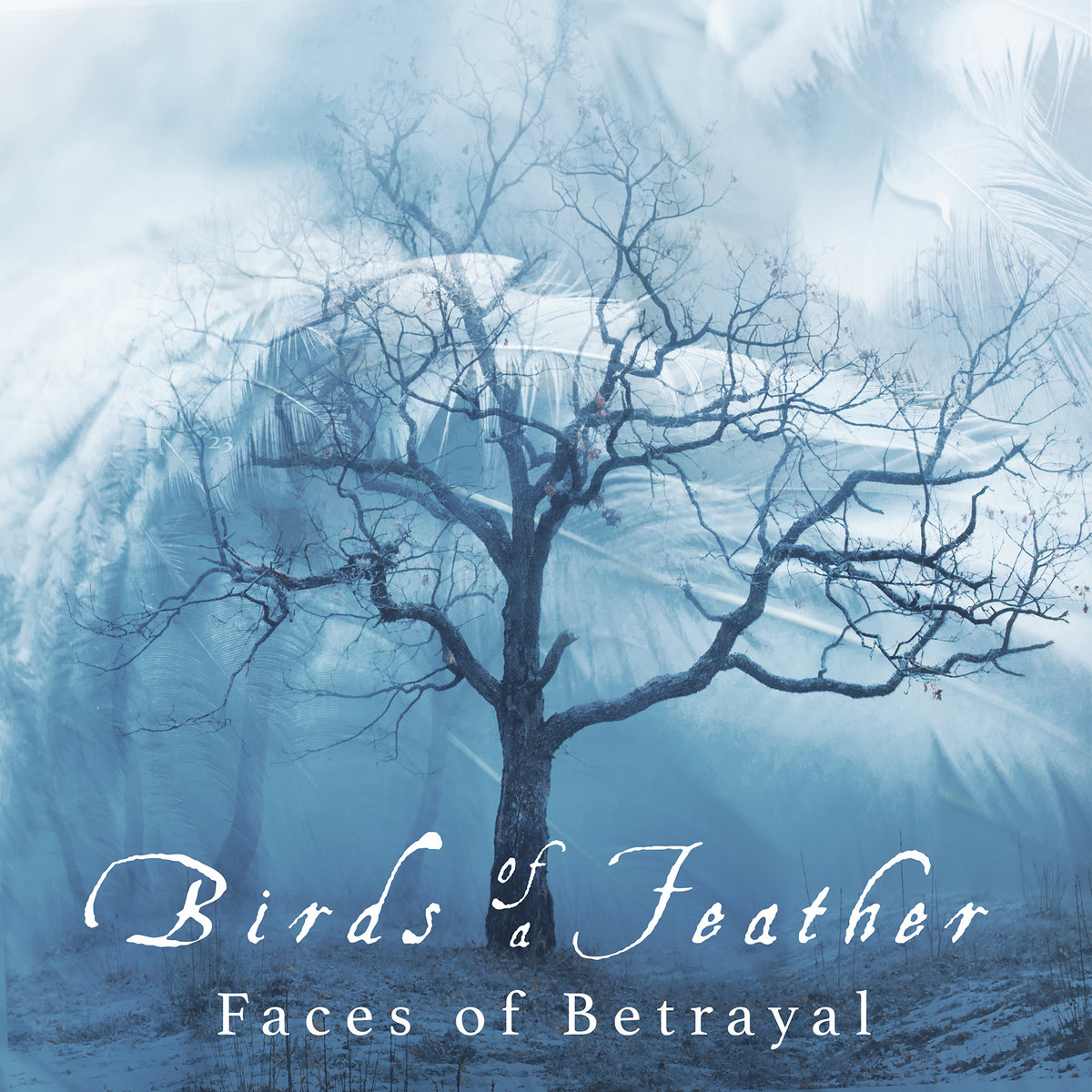 Birds of a Feather 'Faces of Betrayal' | IKON