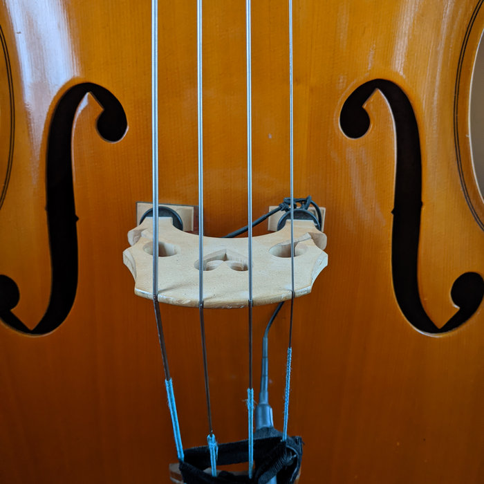 Upright Bass Samples Fendel De La Creme´