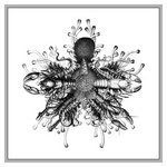 Flummoxed/Astacidivist {2025}