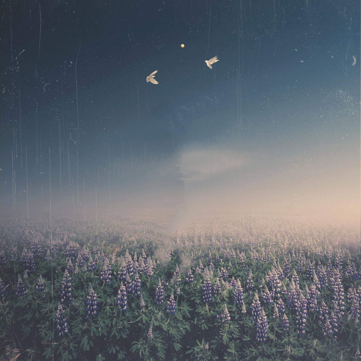 Movement of the Dawn Instrumentals