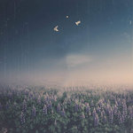 Movement of the Dawn Instrumentals
