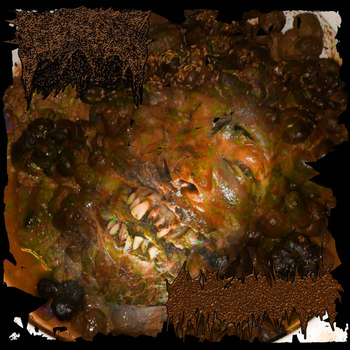 Split w/ Blennorrhea | CRYPTOSPORIDIOSIS (CA) | Gore Bubble