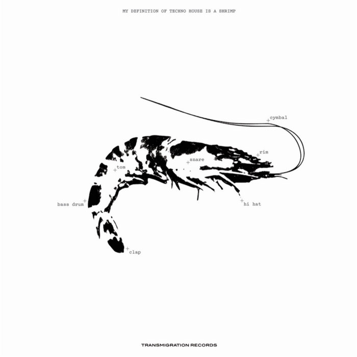 Space Teddy EP II | Ebi | Transmigration