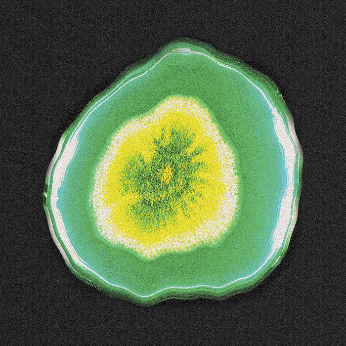 Fungus | Various Artists | Nona