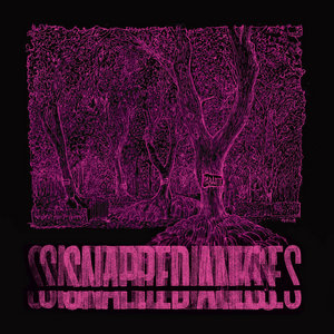 Forest Of Your Problems: Parasite Sessions cover