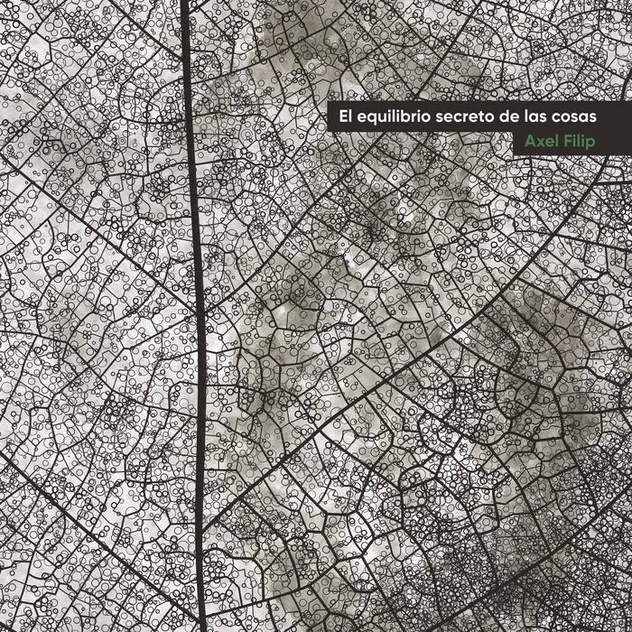 El equilibrio secreto de las cosas
von Axel Filip
