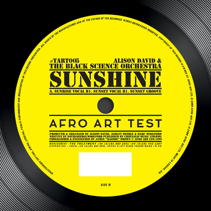 Sunshine | Black Science Orchestra & Alison David | Afro Art