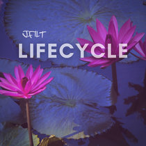 LifeCycle cover art