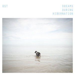Dreams During Hibernation cover