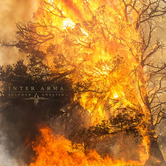 La liga Azkenera 2019. Disco de la semana: King Gizzard & The Lizard Wizard - Infest The Rats' Nest - Página 9 A1396132576_5