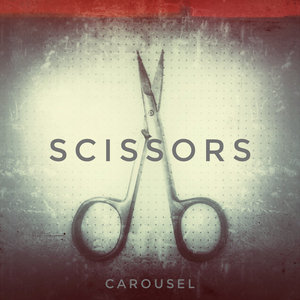 Scissors cover