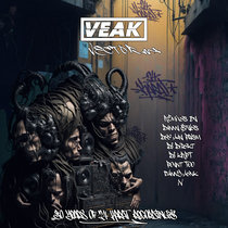 Veak - Vector cover art
