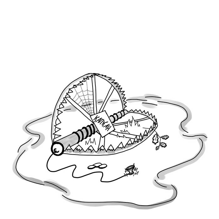 Как рисовать капкан